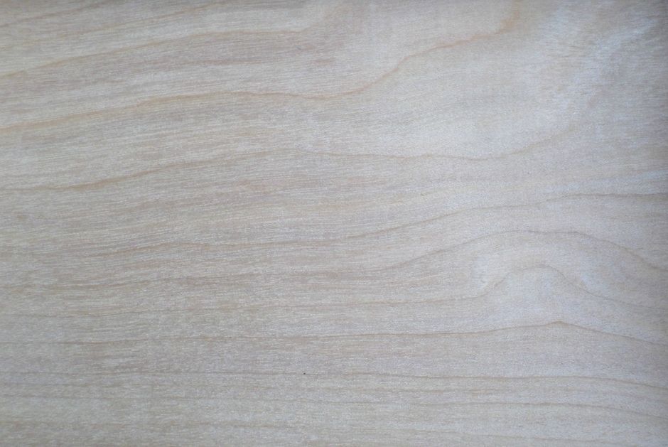 Close-up of pale, bare wood grain
